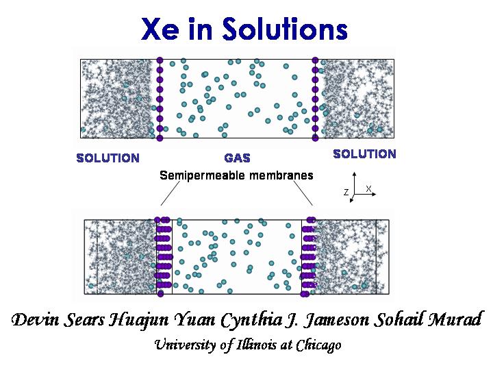 Xe in solutions