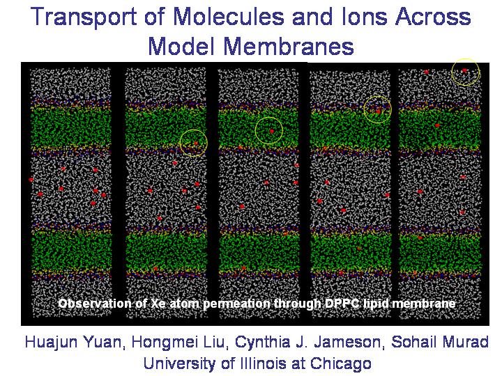 Transport of molecules and ions across membranes