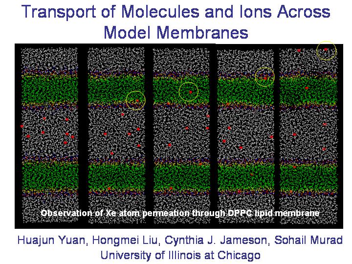 Transport of molecules and ions across membranes