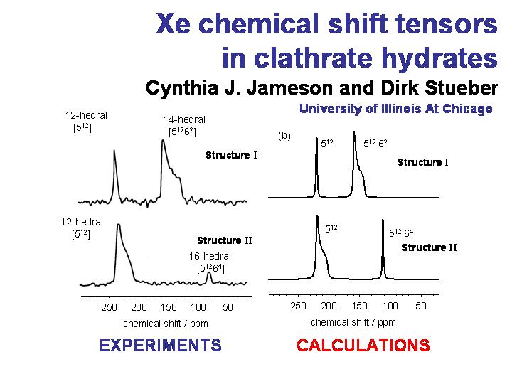 Xe chemical shfit tensors in clathrate hydrates