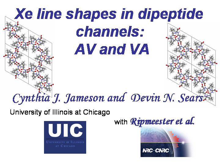 Xe lineshapes in dipeptide channels